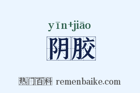阴胶是什么意思的图片